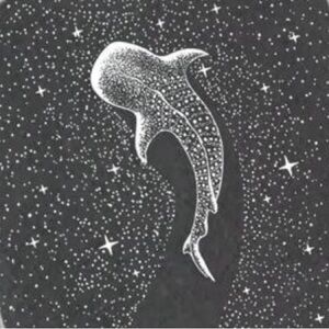 Meet your Posher, Lucy